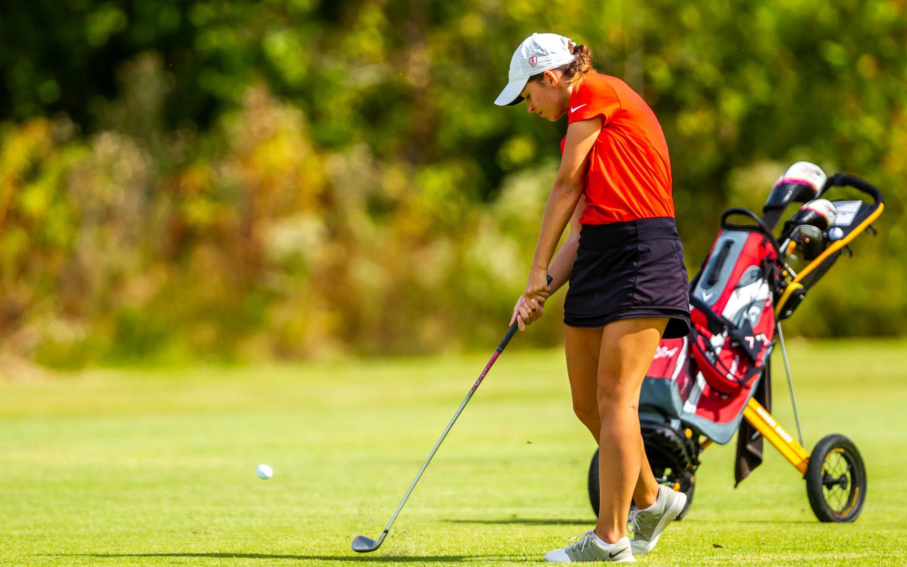 Class 2 District 1 girls golf tournament